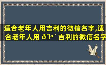适合老年人用吉利的微信名字,适合老年人用 🪴 吉利的微信名字有哪些 🐞